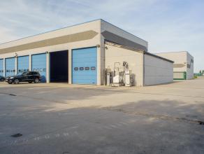 Bedrijfsvastgoed te huur in 8380 Zeebrugge