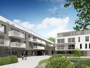 Appartement te koop in 2990 Wuustwezel