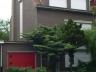 Zeer ruime woning met 6 slaapkamers, en ruime garage (ev. tweewoonst/kangoero of praktijkwoning mits