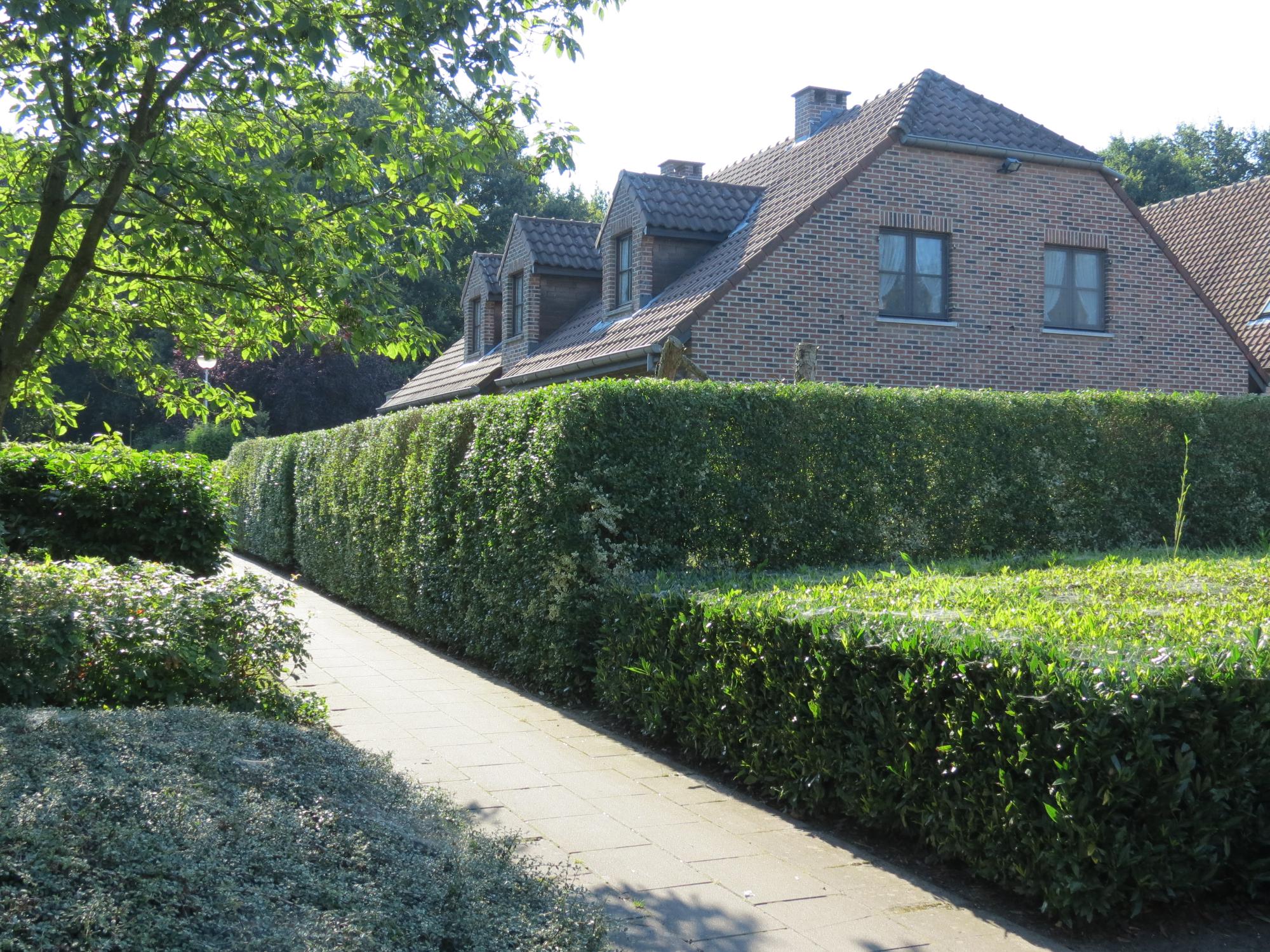 Huis met 4 slaapkamers te koop in herentals (2200) zimmo